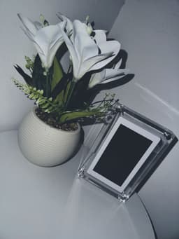 CoupleFrame — real product on shelf with flowers